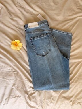 American Eagle Light Wash Moms Jeans